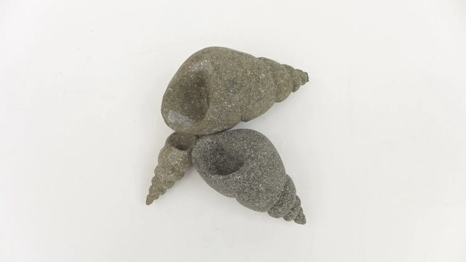  Product image 2 of the product “Snail shell, turned, in the size from 10 to 20cm, basanite, natural ”